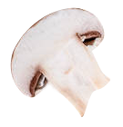 campinon